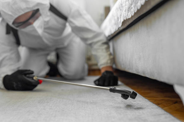 Professional Bed Bug Control technician working in Bradley Beach, NJ